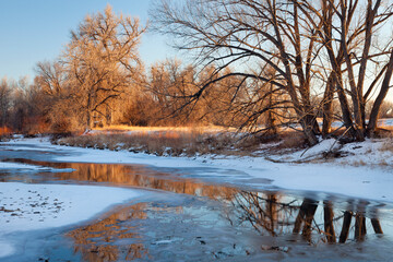 partially frozen Cache la Poudre River with cottonwood trees at Fort Collins, Colorado © MarekPhotoDesign.com