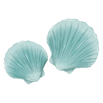 Sea Shells