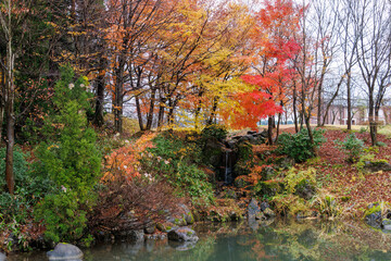 お寺の隣の公園。
池沿いに小さな滝がある。
季節的にちょうど見事な紅葉が見られた。
新潟県十日町市 - 2024年12月1日
