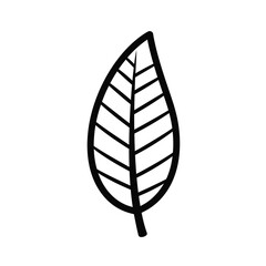 Simple Leaf Outline Black And White Botanical Illustration Artistic Style Vector Element