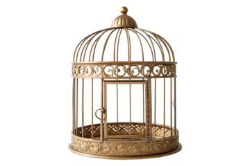 Elegant Gold Birdcage with Intricate Vintage Design for Home Decor isolated on white background. Elegant Gold Birdcage  illustration on white