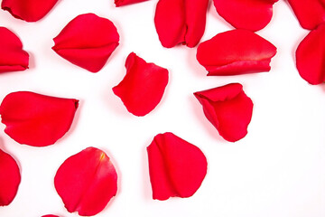 Fototapeta premium bunch of red rose petals falling down on a white surface2