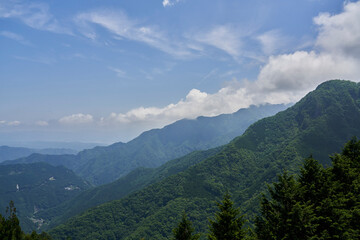 Fototapeta premium 緑の息吹 - 曇り空の下、力強く生きる山々の姿