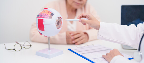 Elderly Patient consulting Doctor to Eye disease, Senior Medical Diagnosis. Anatomy Eye model for...