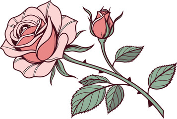 Obraz premium Rose flower illustration vector design isolated on white background.