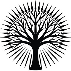 Naklejka premium Tree Viewed from Below