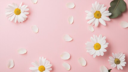 Obraz premium delicate daisy blooms and soft petals scattered across a gentle pink backdrop creating a serene and inviting atmosphere for various creative projects and visual storytelling
