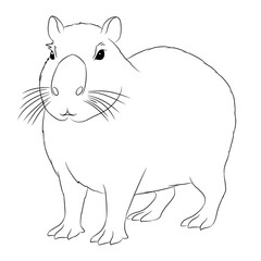 Capybara cartoon, vector illustration, capybara icon isolated on white background. Line art.