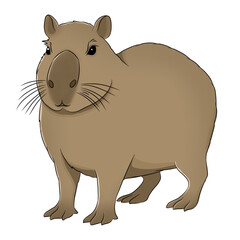 Capybara cartoon, vector illustration, capybara icon isolated on white background.