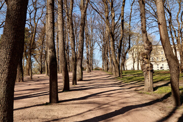 Park