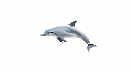 Fototapeta premium a white dolphin on a transparent background, PNG image, PNG file, Generative art.