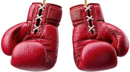 Red Boxing Gloves: A pair of well-worn, red leather boxing gloves hang, laced up and ready for action.  The image evokes a sense of competition, strength, and determination.