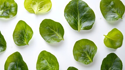 Obraz premium Overhead shot of vibrant green lettuce leaves arranged on a white background, creating a visually appealing pattern. The leaves showcase their fresh and healthy appearance.
