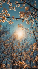 Sunlight filtering through blooming branches in a serene forest, evoking springtime tranquility