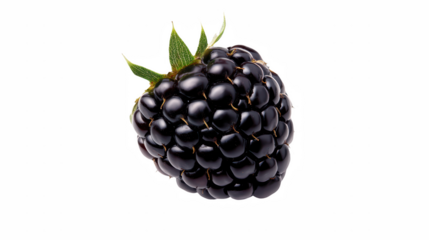 a single blackberry or raspberry on a transparent background, PNG image, PNG file, Generative art.