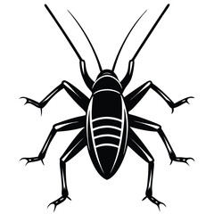 Black vector insect and arachnid silhouettes: beetle, bug, spider