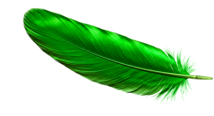 A vibrant green feather with intricate details isolated against a black background creating contrast