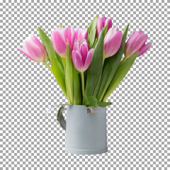 Delicate Pink Tulips in White Cup - Beautiful Flower Arrangement on transparent background, png, psd
