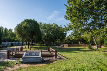 Peaceful Park Scenery with Historical Marker