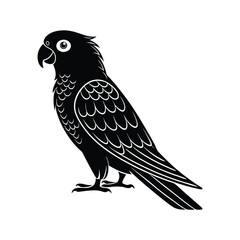 Fototapeta premium Lorikeet bird silhouette on a white background