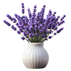 3 sets of lavender flowers in a vase, isolated on a transparent background 