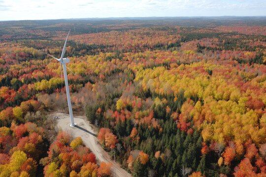 Wind turbine in autumn forest