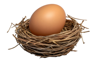 Brown Egg Nestled in a Twig Nest Against  on transparent background , png , cutout  Symbolizing New Beginnings