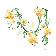 Yellow orchid flowers on tropical liana and butterflies watercolor illustration isolated. Tropical blooming plant for jungle design. Hand drawn phalaenopsis on climbing curly vine in realistic style.