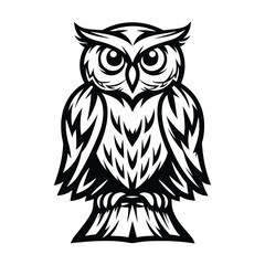 Detailed Owl Illustration, Front View, Decorative, Black and White, Isolated Design