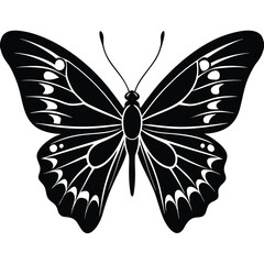 Butterfly silhouette icon. Clipart image isolated on white background