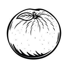 Hand Drawn Orange, Citrus Fruit with Leaf and Stem, Black and White Food Art