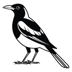 Obraz premium Magpie bird silhouette, Simple bird silhouette, vector art, black illustration of a bird on a white background