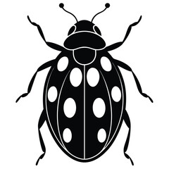 Create a minimalist ladybug vector illustration in black silhouette on a white background perfect for modern designs