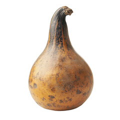 Calabash bottle gourd isolated [Transparent Background PNG] 