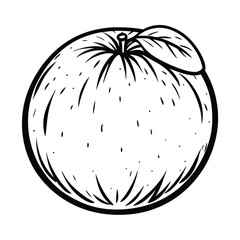 Line Art Orange Fruit Isolated, Outline Style. Citrus with Leaves and Stippled Peel