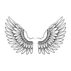 Obraz premium Wings Outline Graphic Design Element