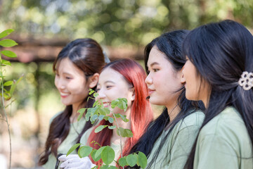 Fototapeta premium Young Asian woman team volunteer planting trees, female volunteer team in park for charity event, Group of Female volunteer people team preparing to plant trees