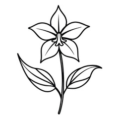 great-lobelia--flower-line-art-vector-on-white-bac (2).eps