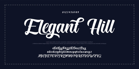 Hand drawn vector alphabet. Modern monoline signature script font. Elegant Signature Font. Best Alphabet Beautiful Calligraphy Signature Font
