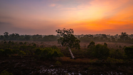 A breathtaking view of a savanna landscape at sunrise, with warm hues of orange and pink illuminating the sky. A solitary tree stands prominently amidst the wilderness at Koh Phra Thong, Phang Nga.