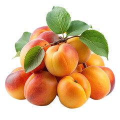 A pile of fresh and ripe apricots with green leaves isolated