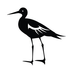 Obraz premium Avocet minimalist silhouette design vector art