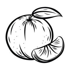 Tangerine Fruit Slice with Leaves, Black and White Outline on White