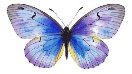 Winged watercolor butterfly isolated vector illustration svg