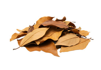 A central pile of dry leaves in various sizes, naturally textured and slightly curled, arranged with a focused composition. Set against a clean, transparent background for isolated clarity.
