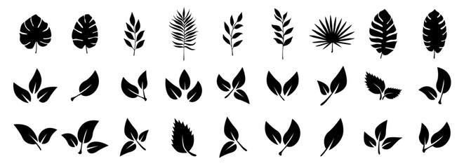 Obraz premium Leaves of trees and plants. of black leaf icons. Tropical leaves. Leaves on white background. Ecology. Vector illustration.