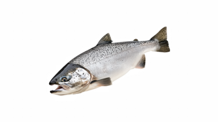 a silver fish on a transparent background, PNG image, PNG file, Generative art.