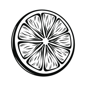 recommend clip art: Black and White of a Round Citrus Fruit Slice With Segments