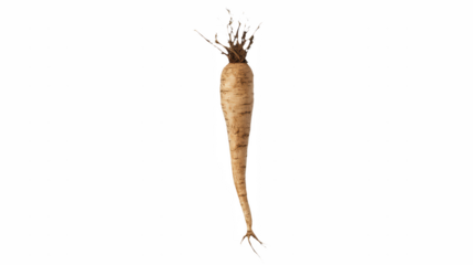 a picture of a carrot on a transparent background, PNG image, PNG file, Generative art.