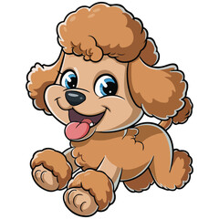 Cute Poodle Dog Vector Cartoon Vector illustration Dog Vector